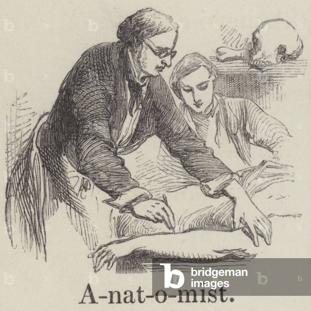 Anatomist (engraving)