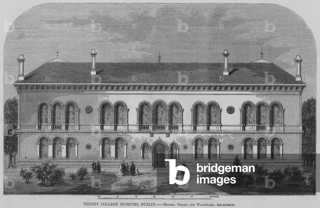 Trinity College Museums, Dublin (engraving)