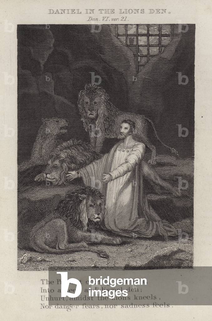 Daniel in the lion's den, Daniel VI, ver 21 (engraving)