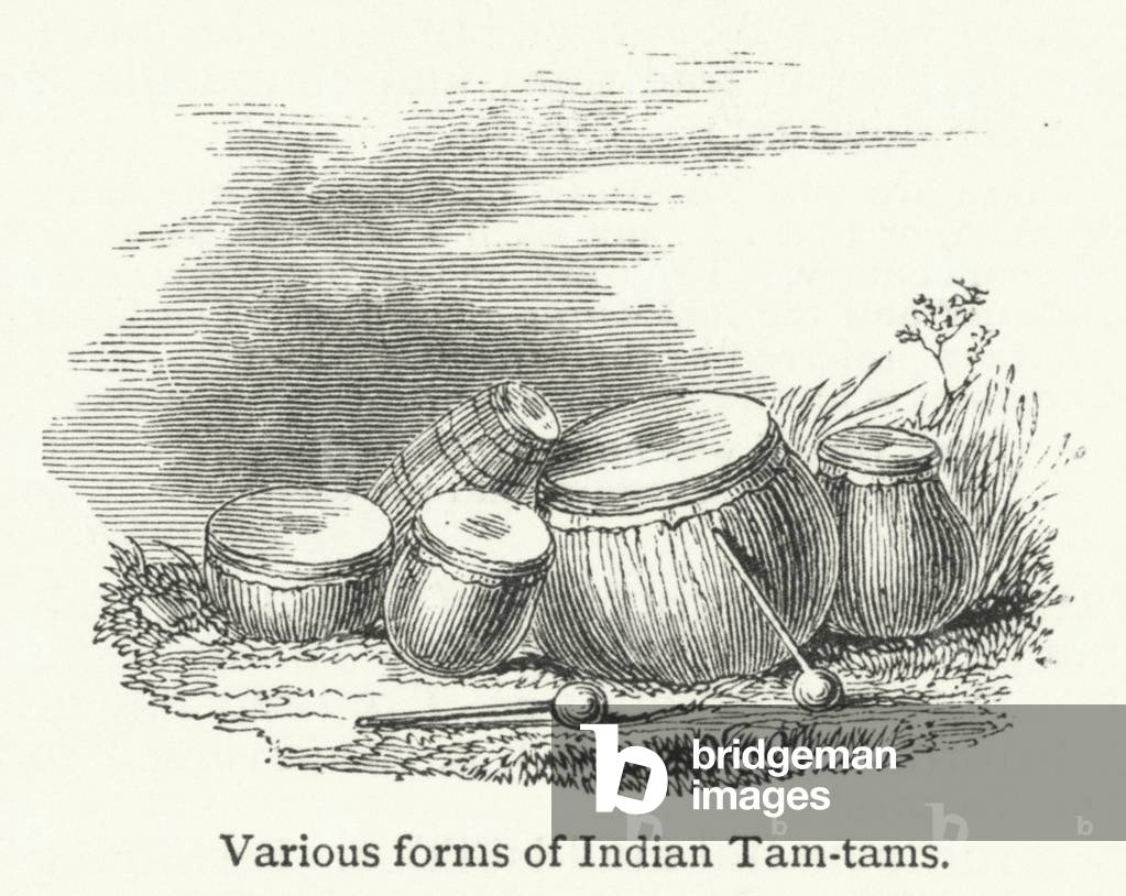 Various forms of Indian Tam-tams (engraving)