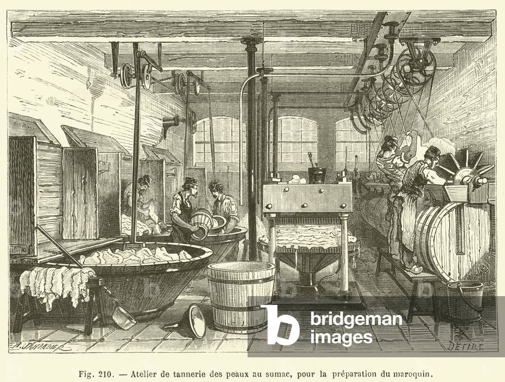 Atelier de tannerie des peaux au sumac, pour la preparation du maroquin (engraving)