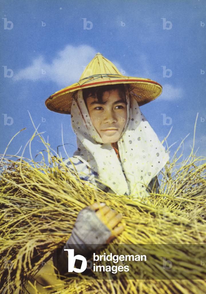 Taiwan: Taiwanese Farmer, 1960 (photo)