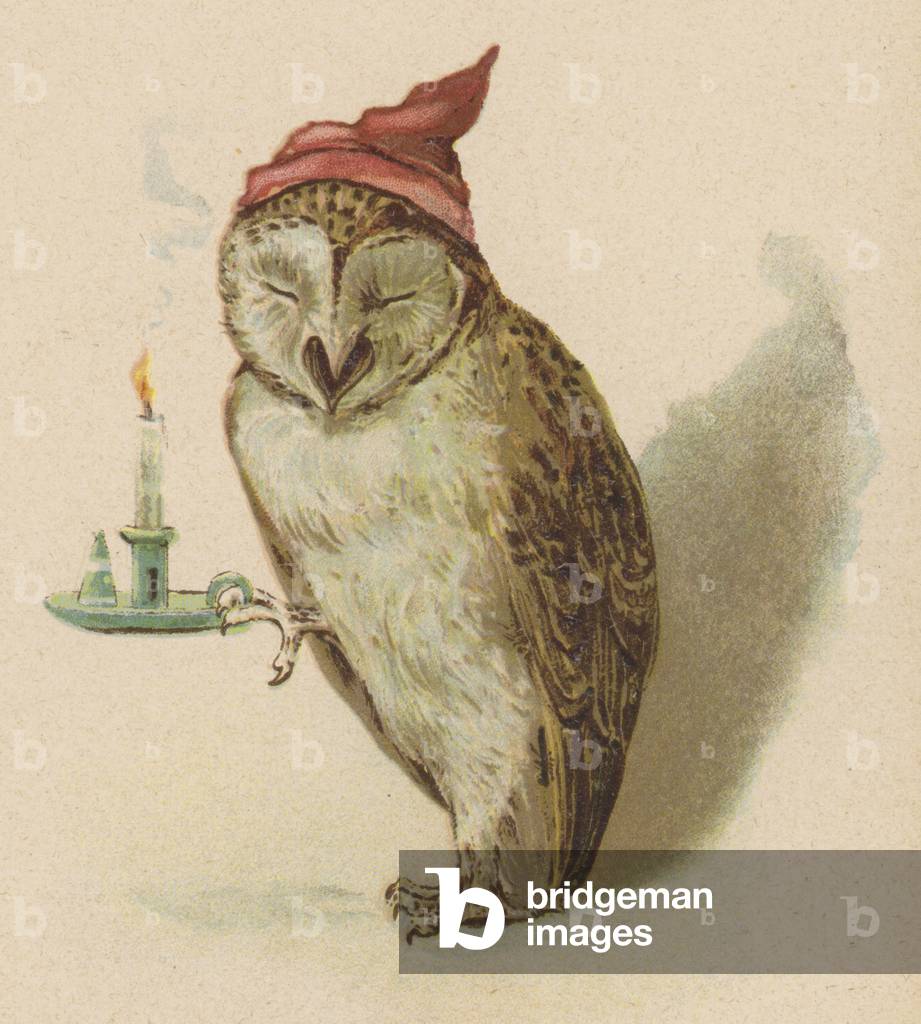 The Owl (chromolitho)
