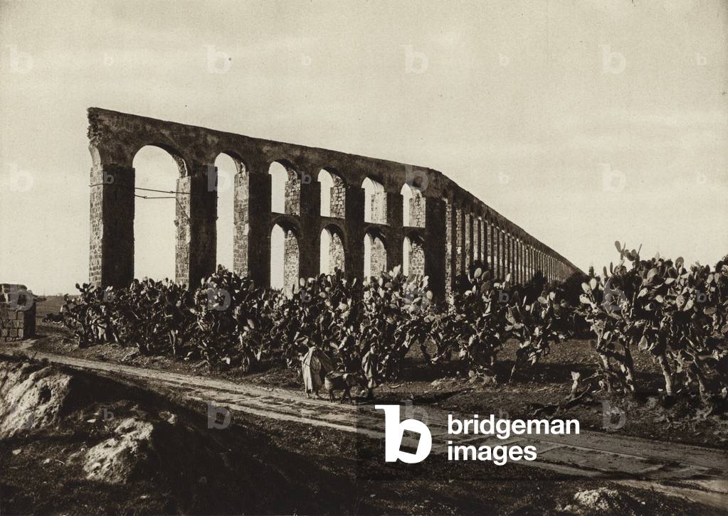Roman aqueduct near Bardo, Tunis (b/w photo)