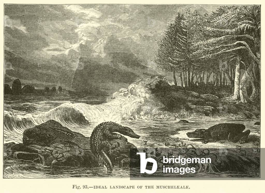 Ideal Landscape of the Muschelkalk (engraving)