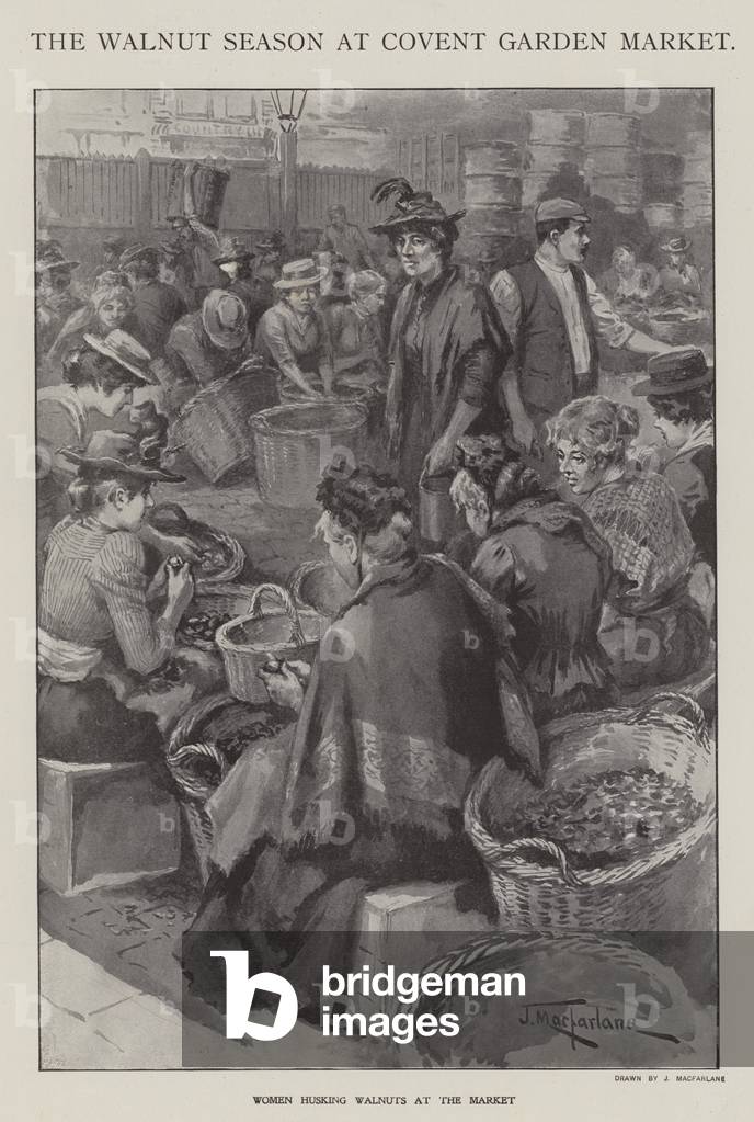 The walnut season at Covent Garden Market, London (litho)