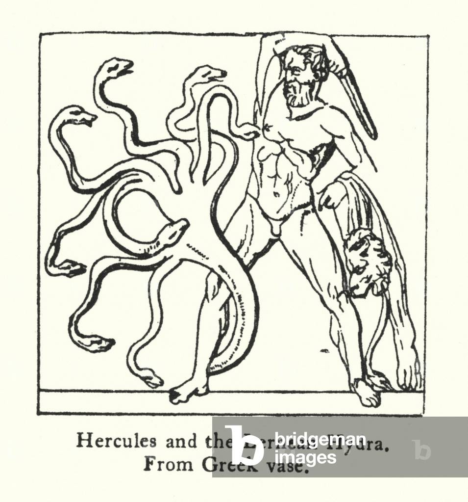 Hercules and the Lernean Hydra, from Greek vase (engraving)