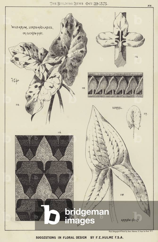 Suggestions in Floral Design by F E Hulme, FSA (engraving)