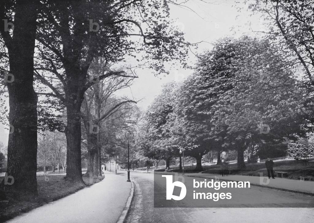 Bath: The Avenue, Victoria Park (b/w photo)