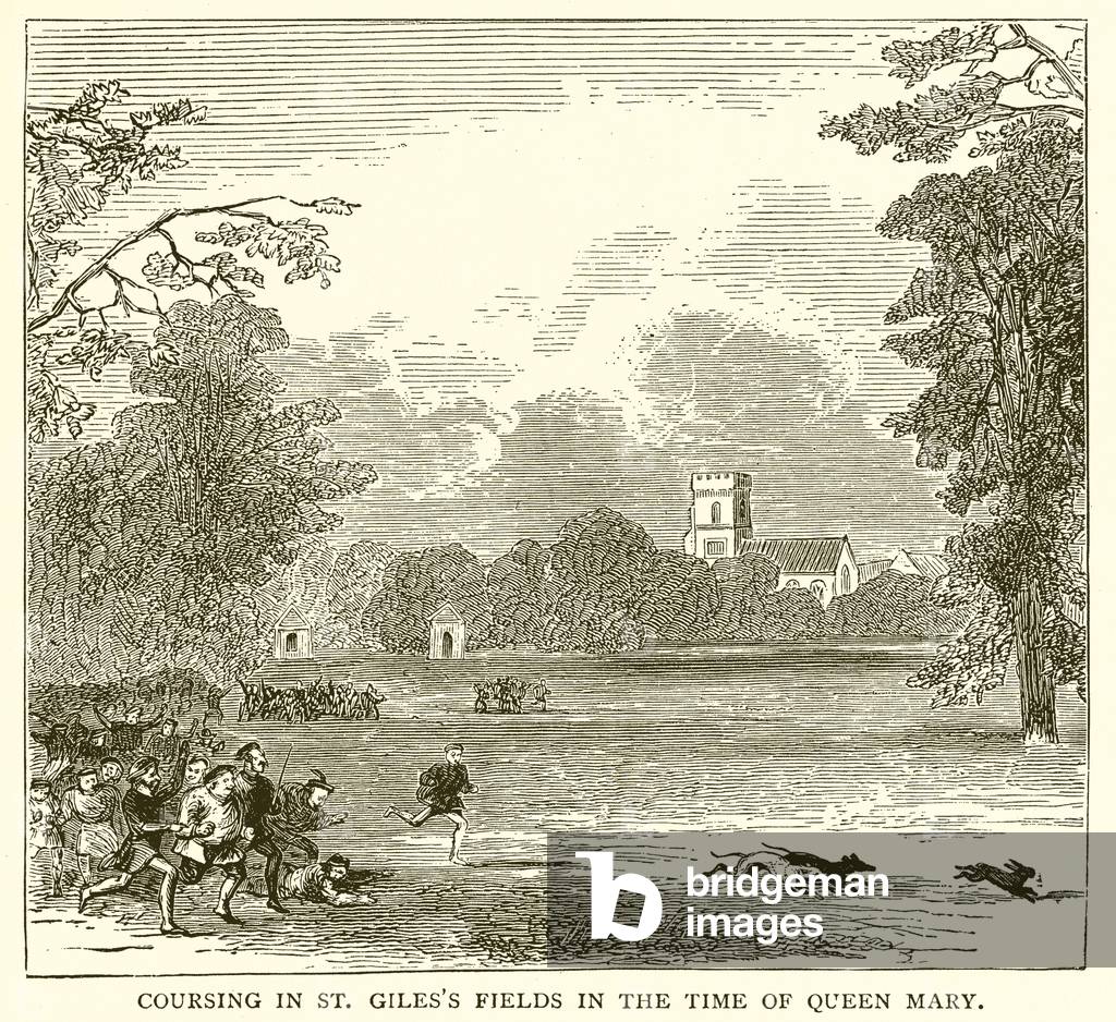 Coursing in St. Giles's Fields in the Time of Queen Mary (engraving)