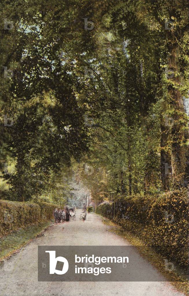 Spencer Road, Ryde (photo)