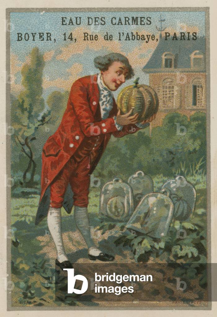 The glutton (chromolitho)