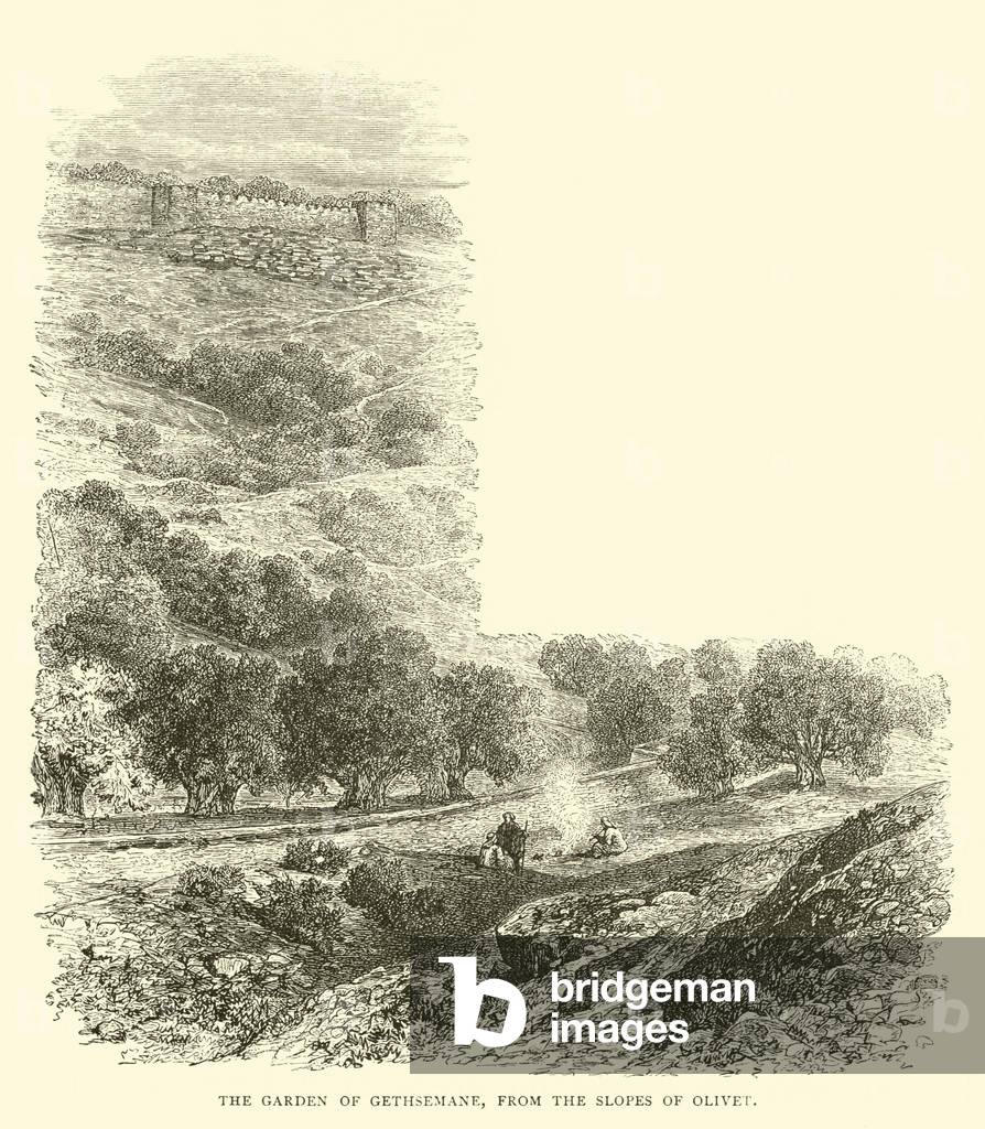 The Garden of Gethsemane, from the slopes of Olivet (engraving)