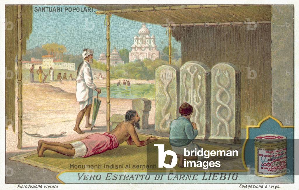 Snake monuments in India (chromolitho)