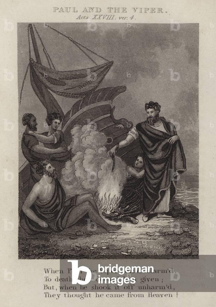 Paul and the viper, Acts XXVIII, ver 4 (engraving)