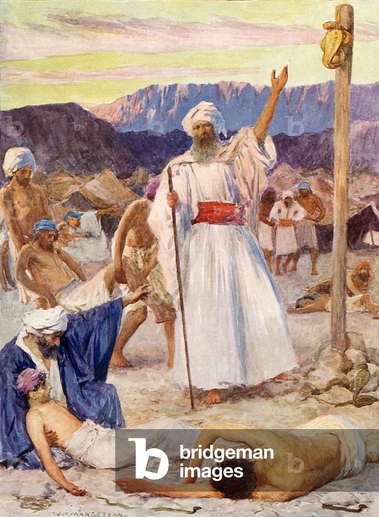 Il Serpente Sfacciato