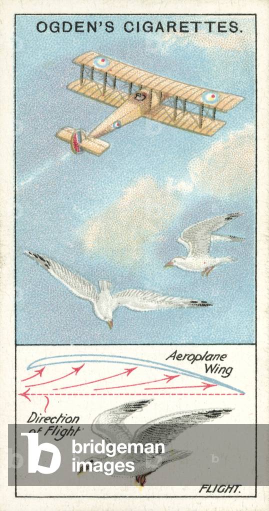 Marvels of Motion, Flight (chromolitho)