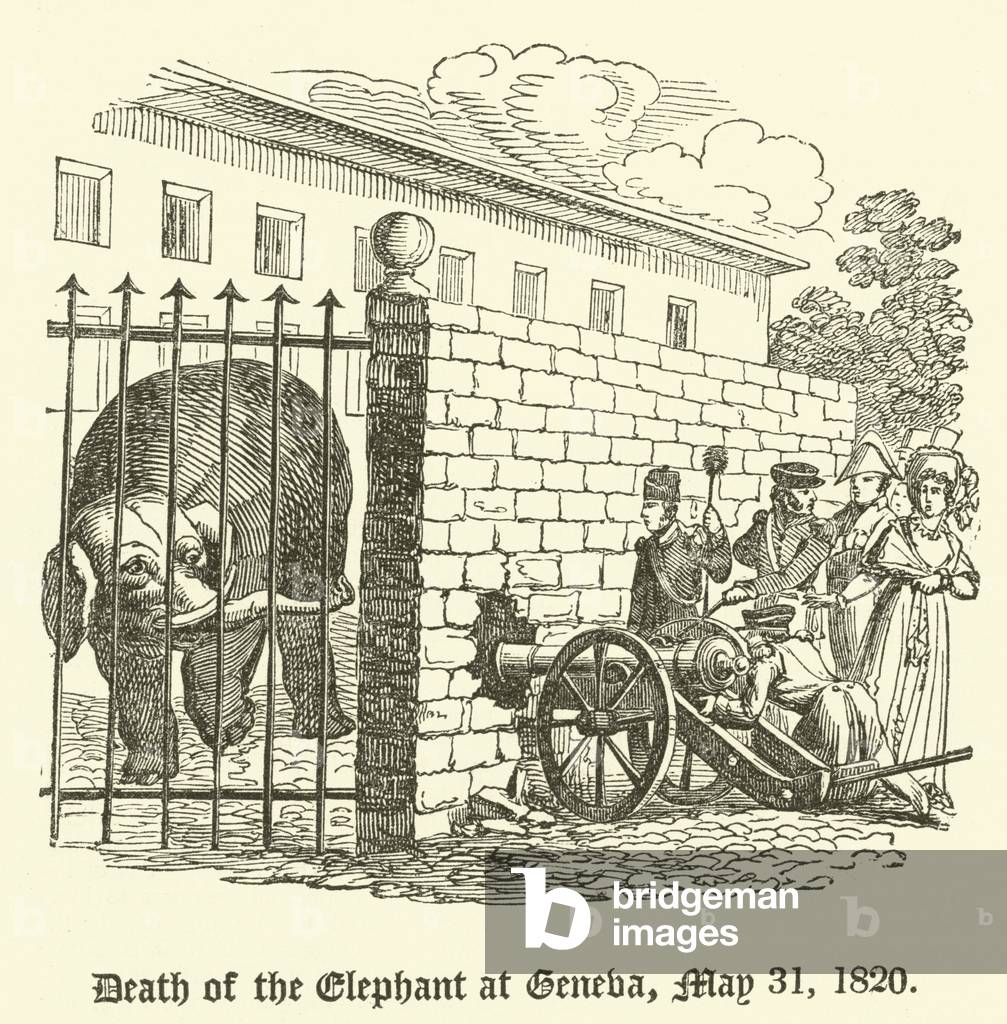 Death of the Elephant at Geneva, 31 May 1820 (engraving)