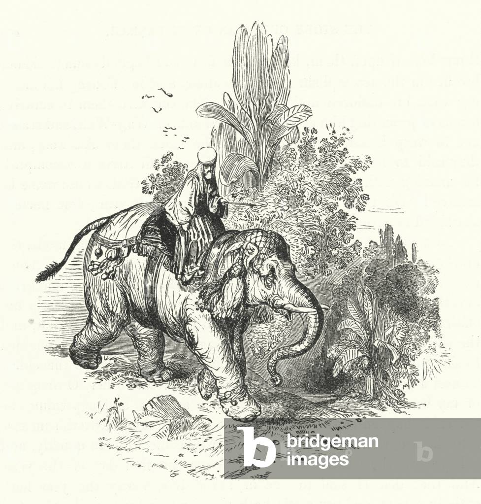 'Abd-El-Kuddoos on the Elephant (engraving)
