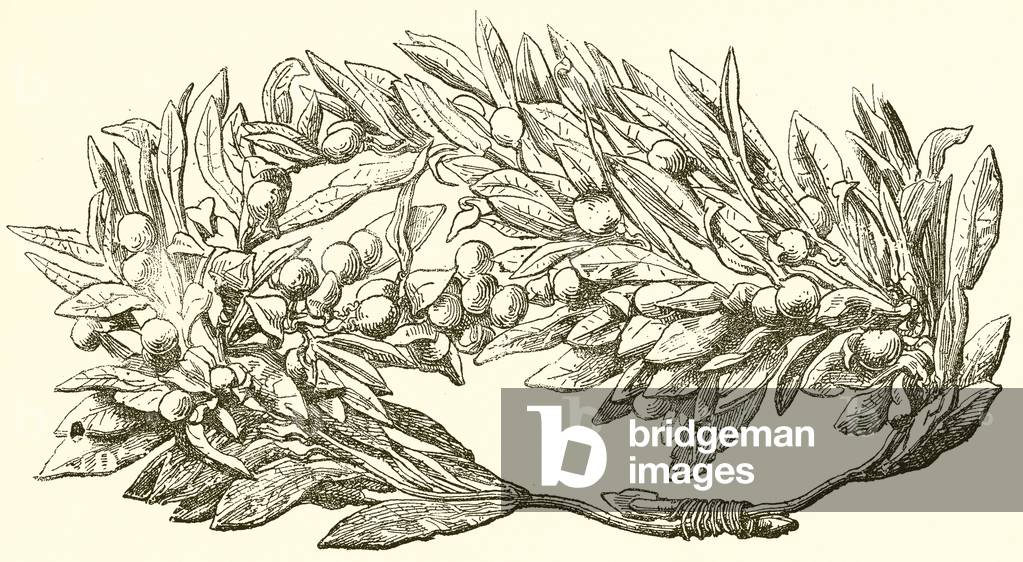 Olive Wreath in Gold (engraving)