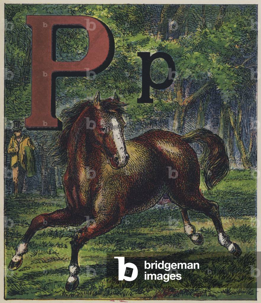 Pony (colour litho)