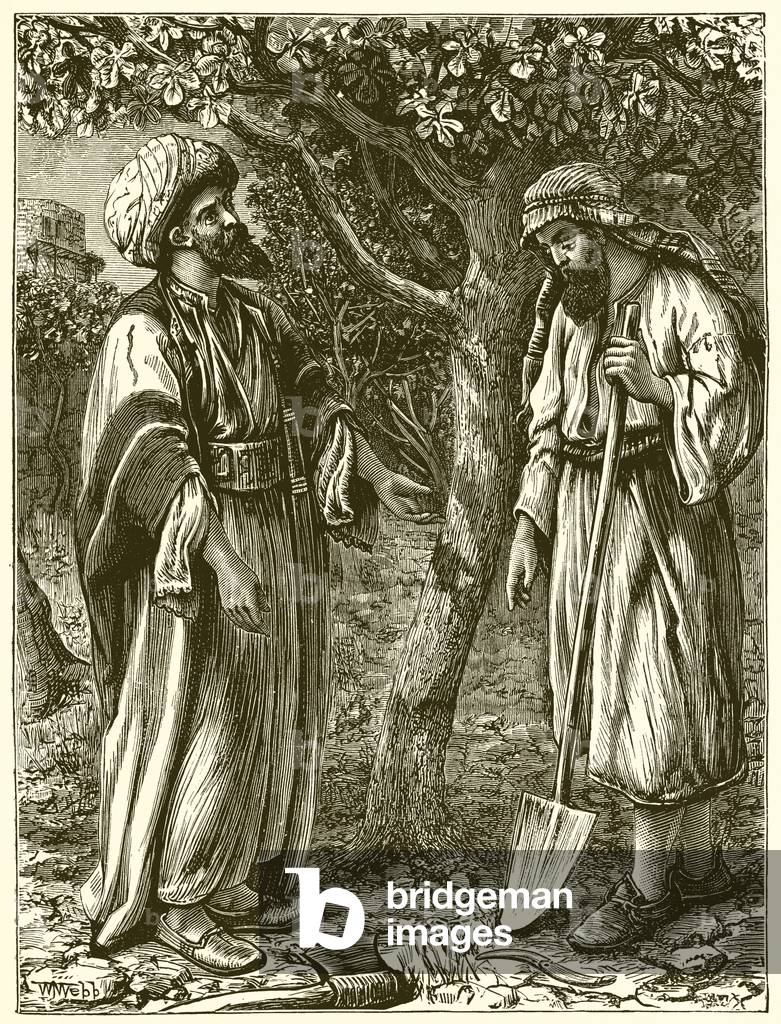 The Unfruitful Tree (engraving)