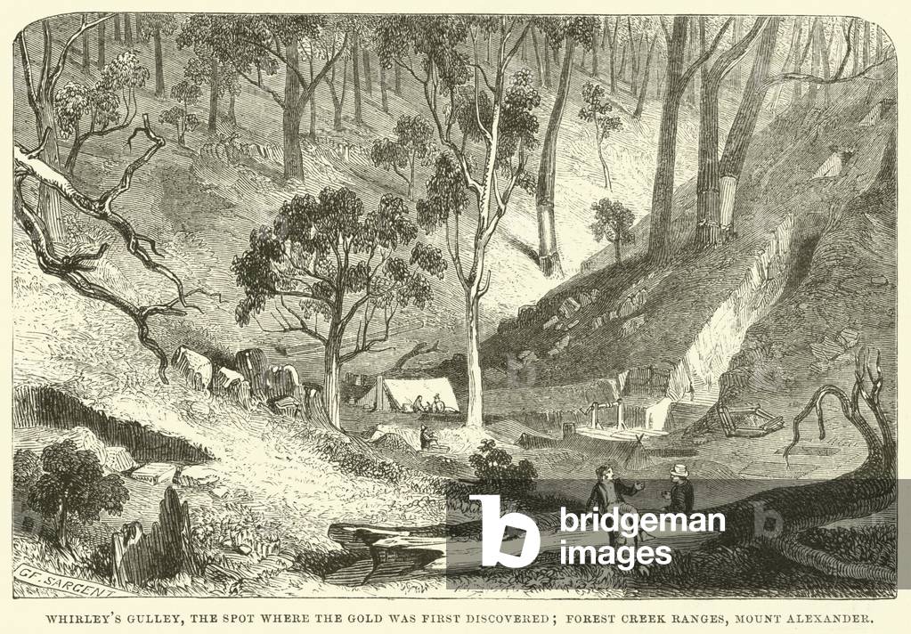 Whirley's Gulley, the spot where the gold was first discovered; Forest Creek Ranges, Mount Alexander (engraving)