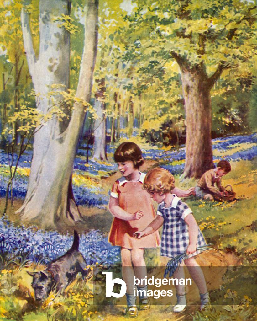 In the bluebell wood (colour litho)