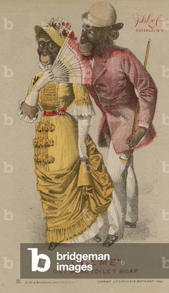 Chimps in fashionable clothing (chromolitho)