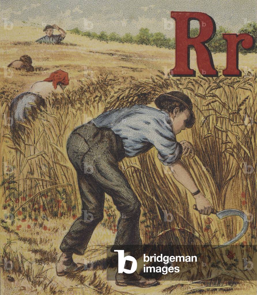 Illustration for John Bulls Farm Alphabet (colour litho)