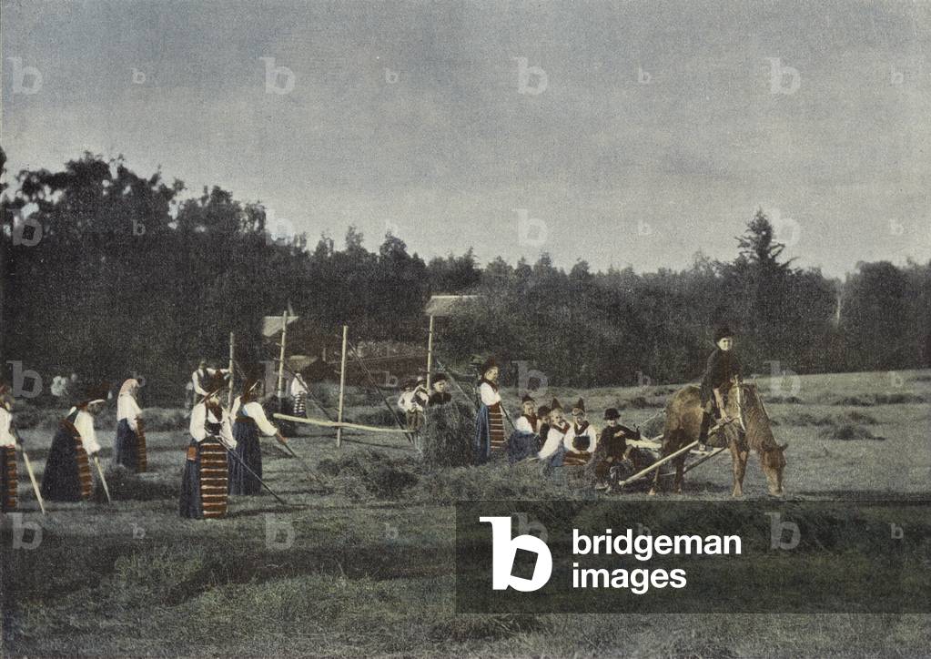 La Coupe Des Foins En Dalecarlie, Suede (colour photo)