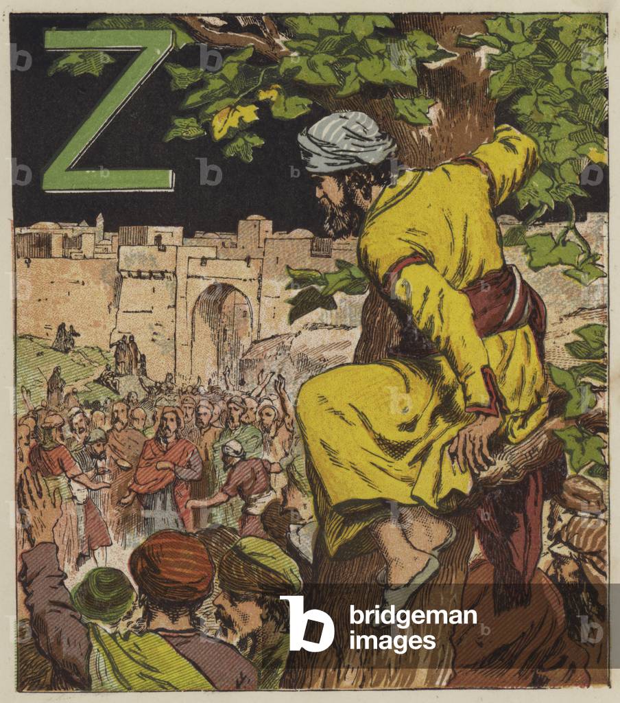 Zacchaeus (colour litho)