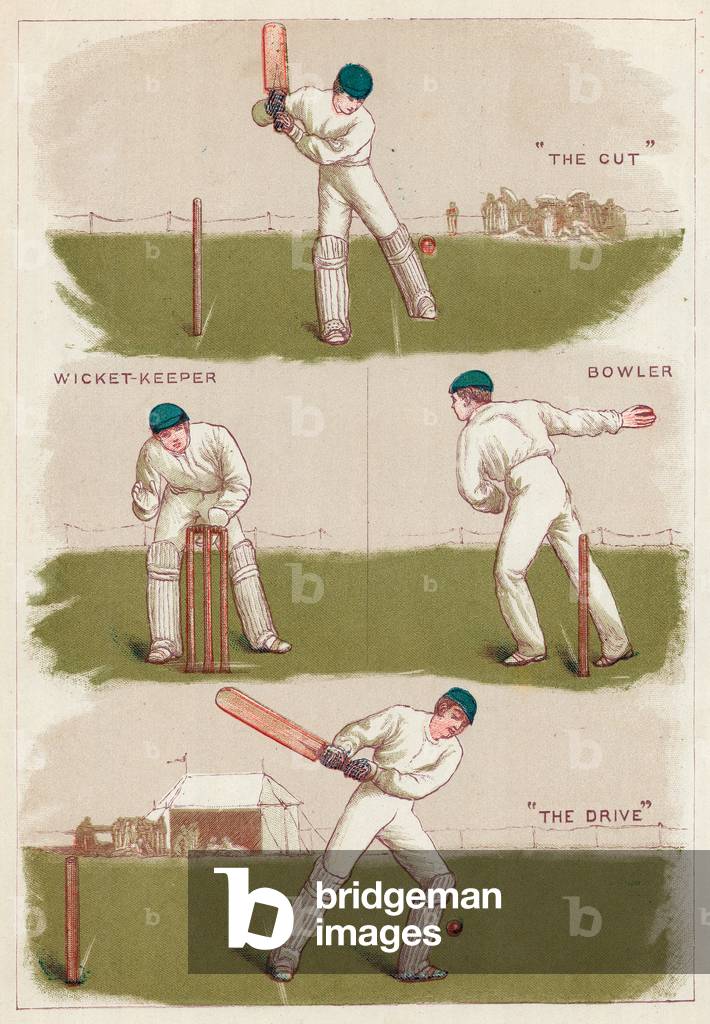 Cricket (colour litho)