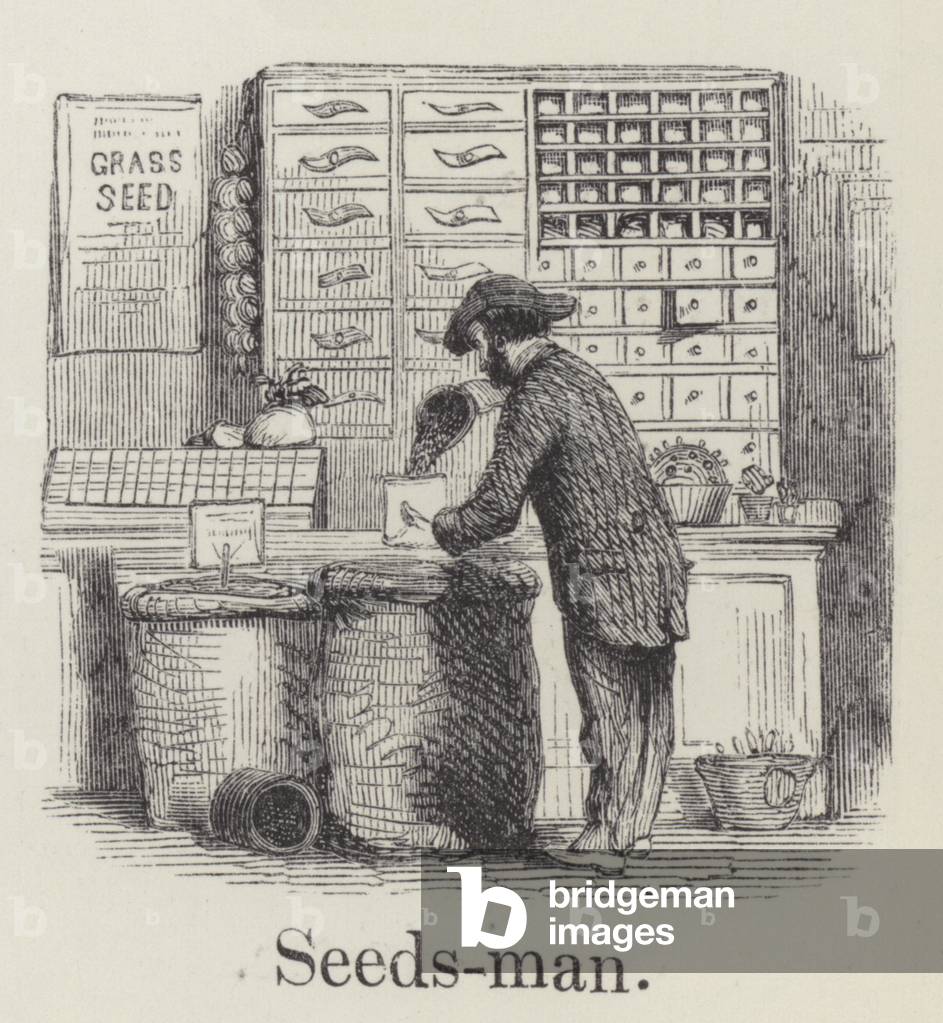 Seedsman (engraving)