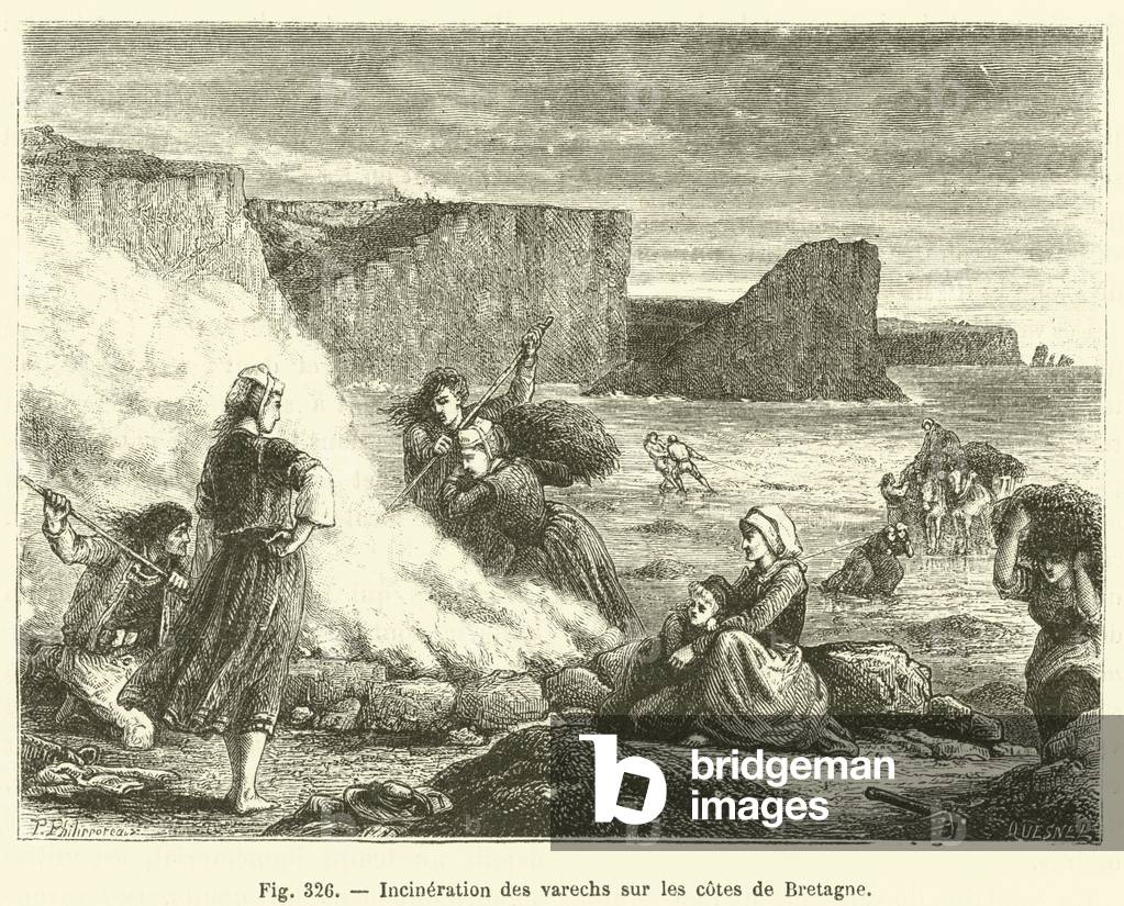 Incineration des varechs sur les cotes de Bretagne (engraving)