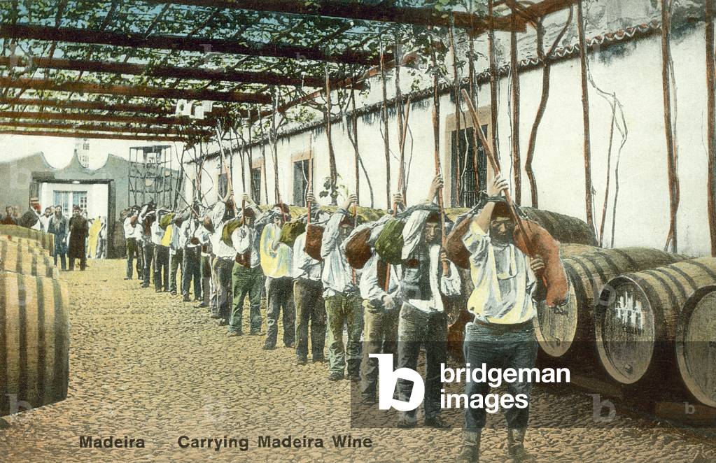 Men carrying Madeira wine, Madeira (colour photo)