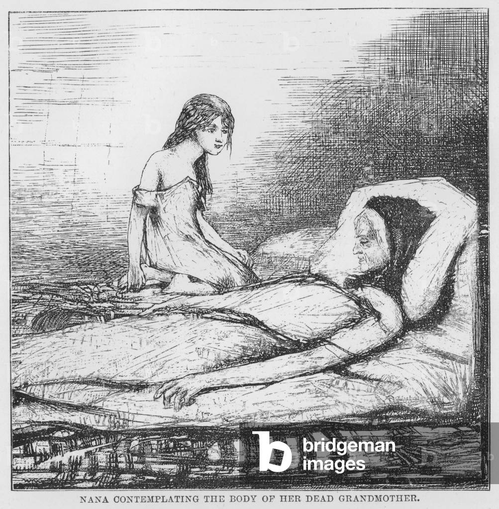 Illustration for The Assommoir, A Realistic Novel, by Emile Zola (engraving)