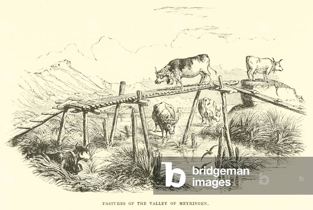 Pastures of the Valley of Meyringen (engraving)