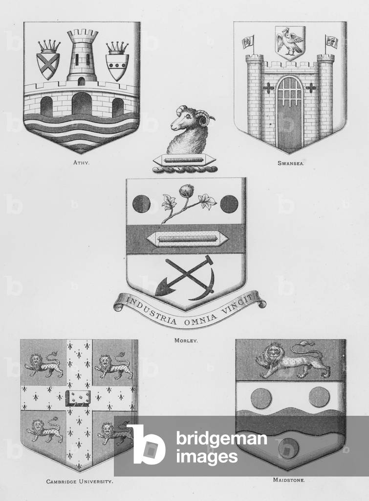 Public arms: Athy; Swansea; Morley; Cambridge University; Maidstone (engraving)