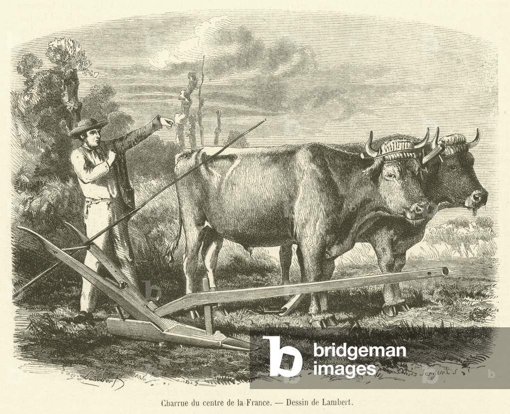 Charrue du centre de la France (engraving)