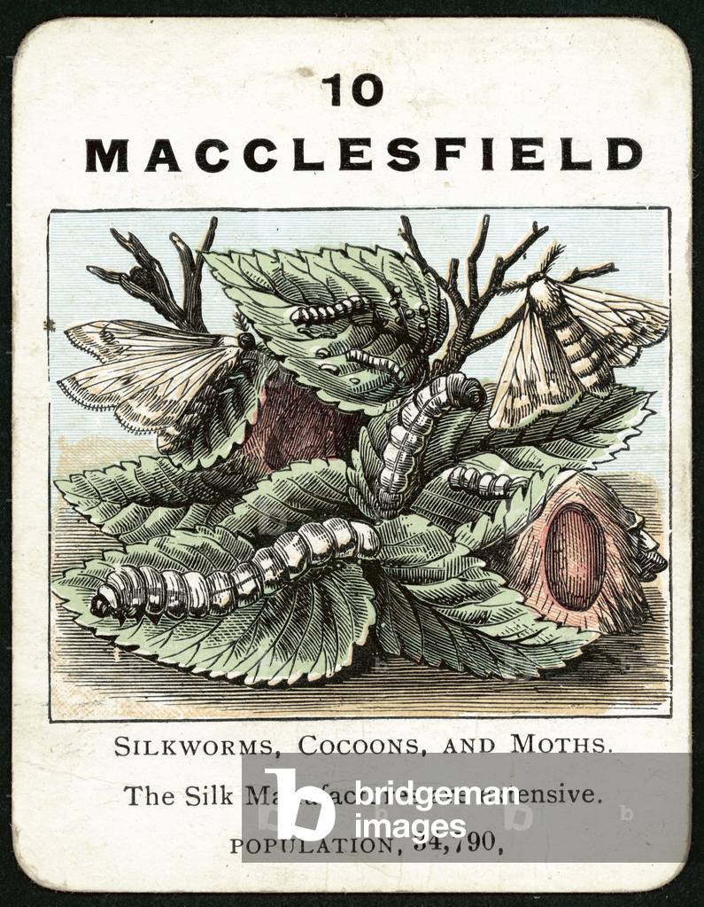 Macclesfield (colour litho)