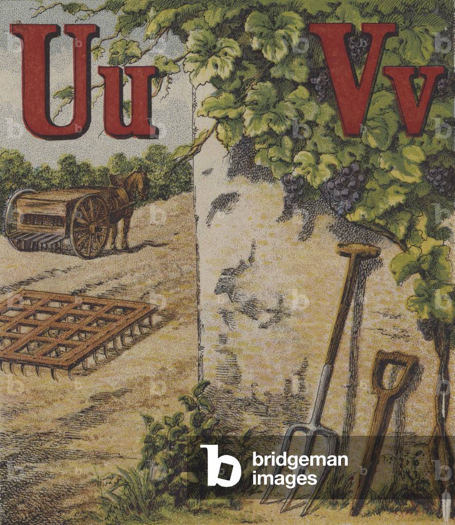 Illustration for John Bulls Farm Alphabet (colour litho)