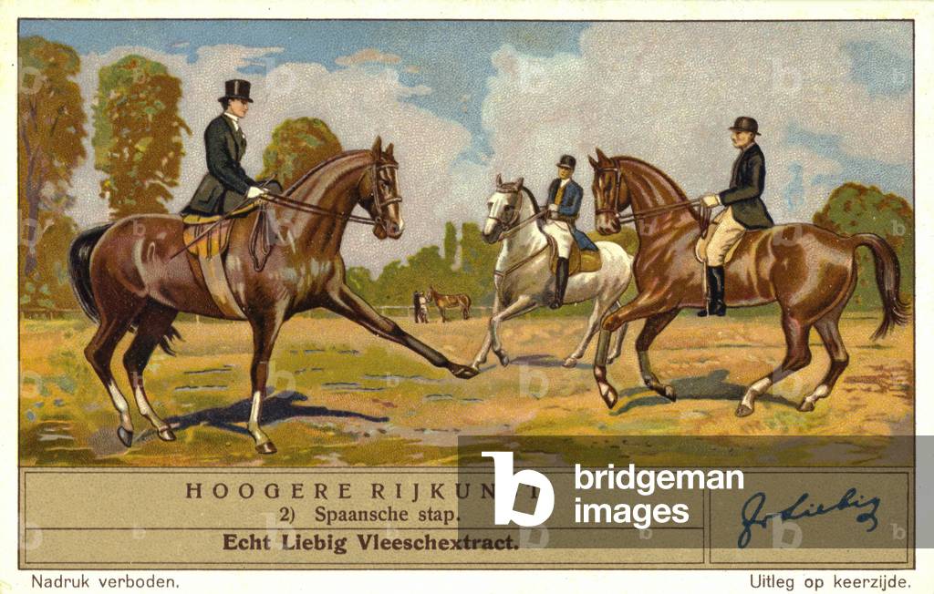 Dressage riders performing the Spanish walk (chromolitho)