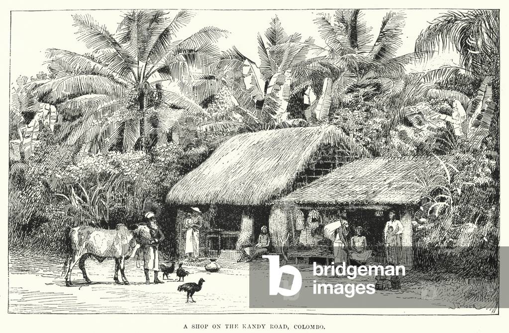 India: A Shop on the Kandy Road, Colombo (engraving)