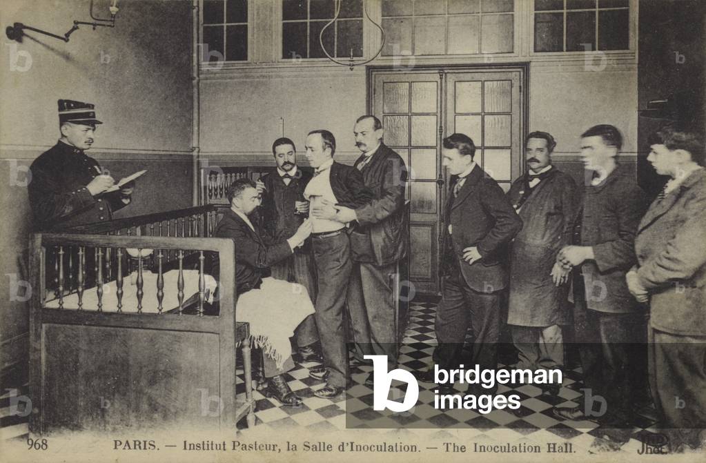 Institut Pasteur, Paris, inoculation room, early 20th cnetury (b/w photo)