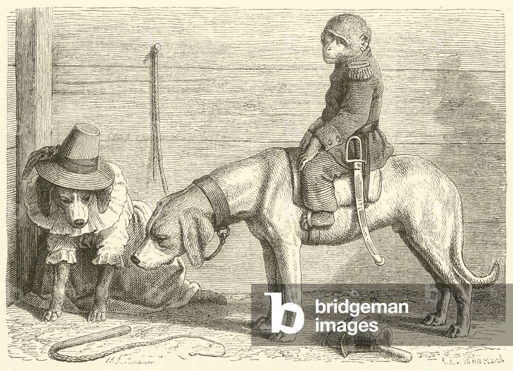 Performing animals (engraving)