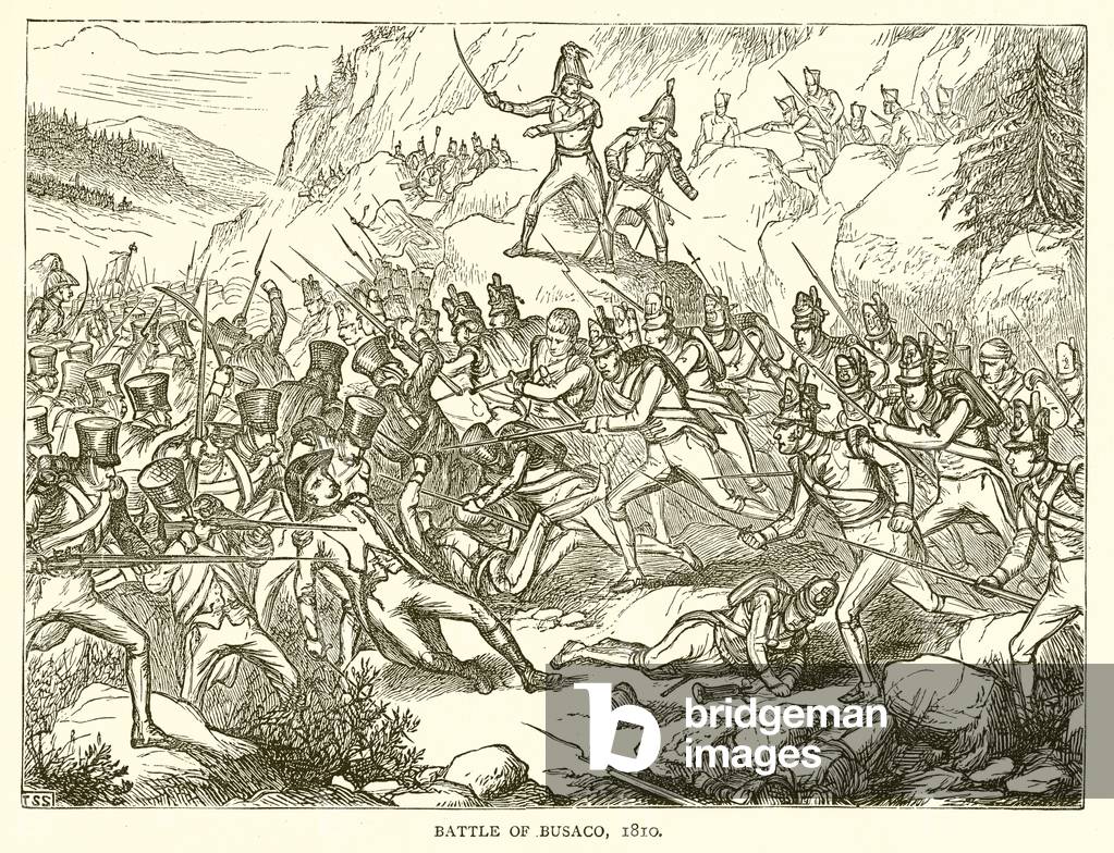 Battle of Busaco, 1810 (engraving)