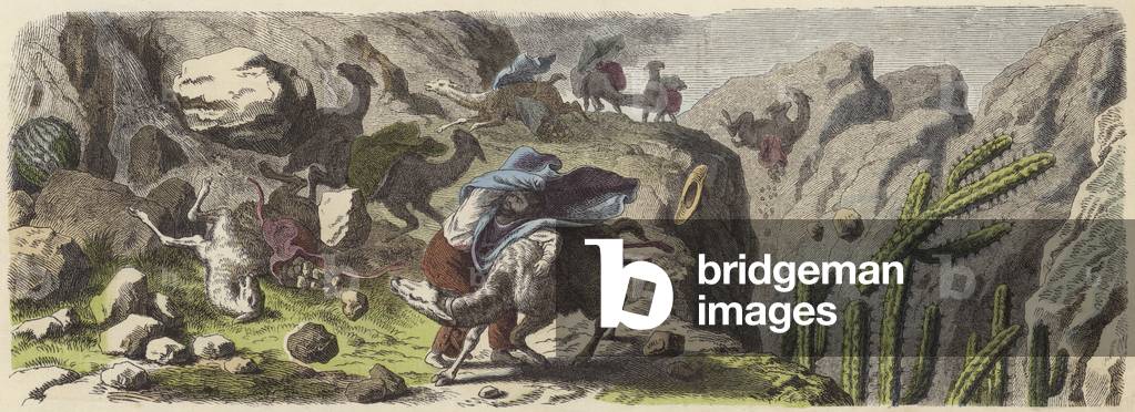 A llama caravan transporting ore caught in a storm in the Andes (coloured engraving)