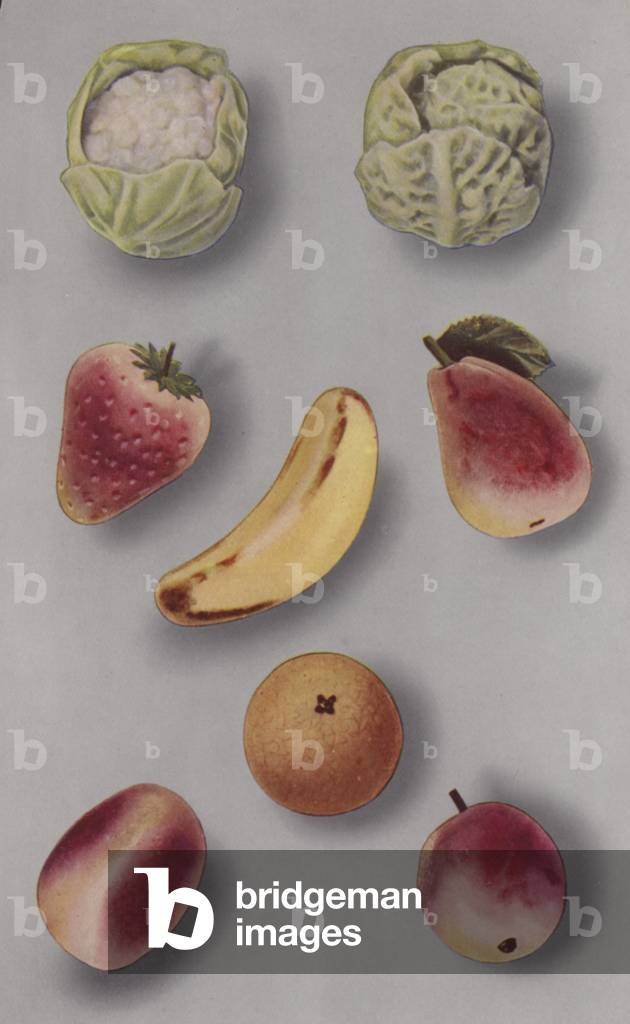 Illustration for marzipan brochure (colour photo)