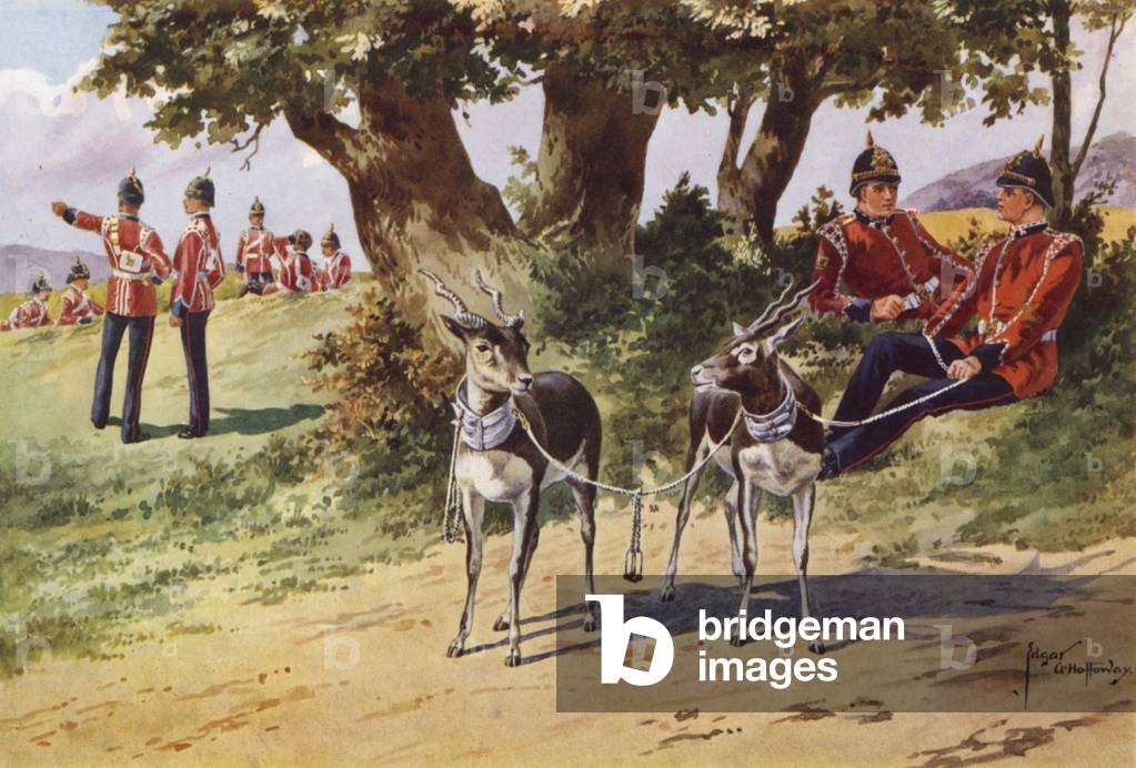 The Pet Antelopes of the Royal Warwickshire Regiment (colour litho)